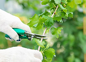 Frühjahrsputz im Garten – womit anfangen?