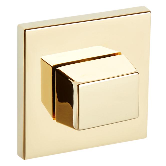 Türschild R67F WC gold PVD