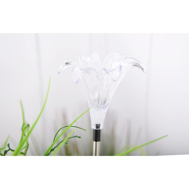 Solarlampe Blumen MIX A2143