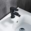 Bidet-Armatur Neptun Black,3