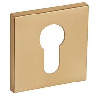 Türschild R67F WB gold-satin