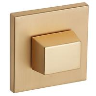 Türschild R67F WC gold-satin