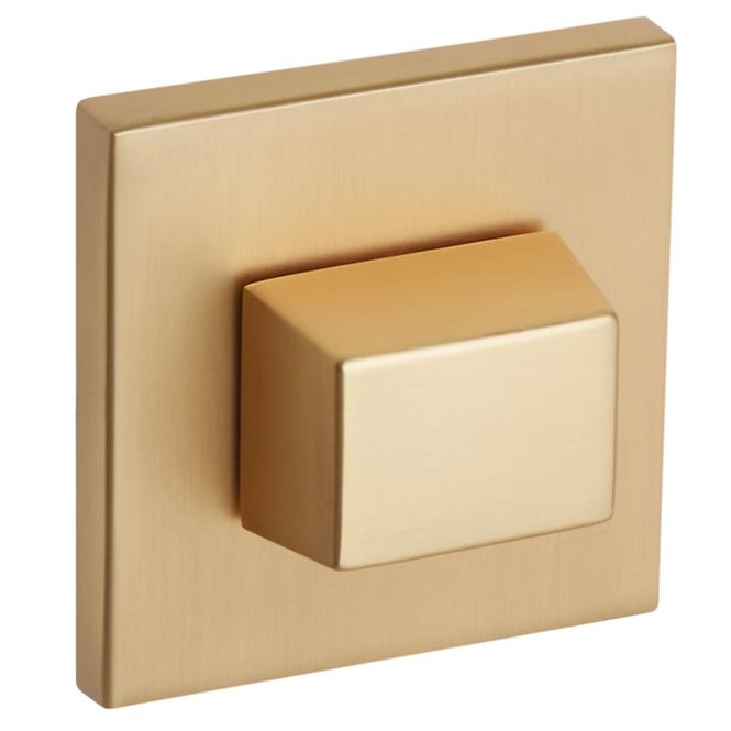 Türschild R67F WC gold-satin