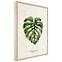 Bild Framepick 50x70 FP037 Monstera,2