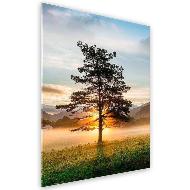 Bild Glasspik 50x70 GL374 Lone Tree