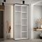 Schrank 45 Canaris 3 110 weiß/artisan/silver,4