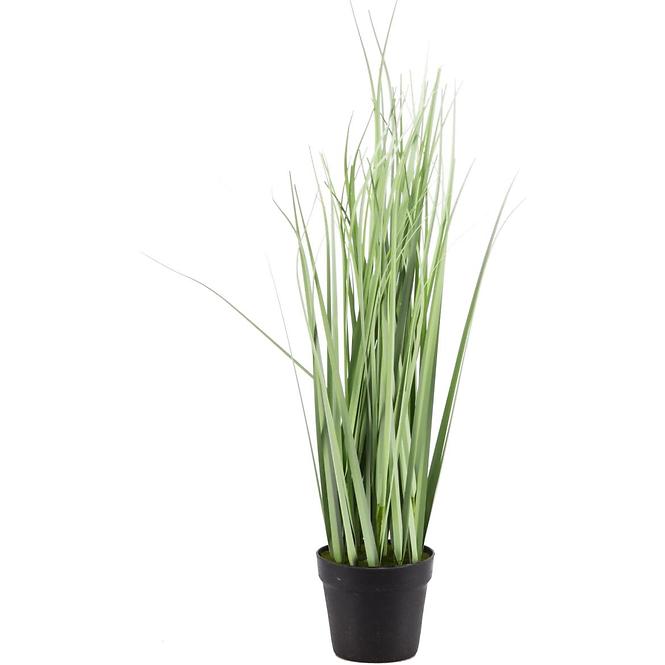 Gras in einem topfi 45 cm 442723