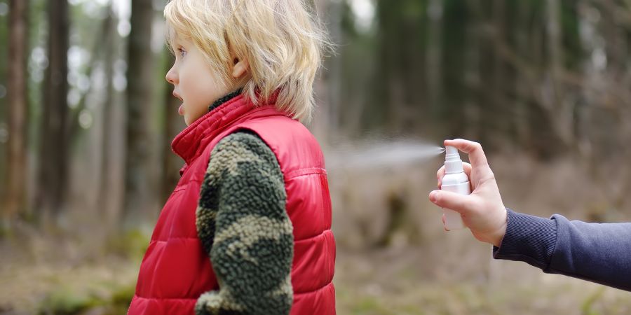 Natürliche Feinde der Zecken – wer hilft im Kampf gegen Zecken? 