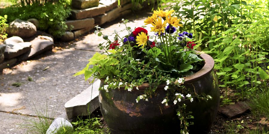 Was ist ein Regengarten? Warum es arrangieren? Wie funktioniert es und was ist die Vorbedingung? 