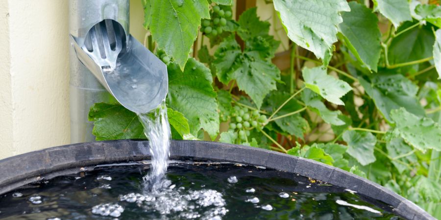 Wo und wie legt man einen Regengarten an? Die perfekte Lösung für Zierpflanzen – eine neue ökologische Art, Regenwasser zu sammeln 