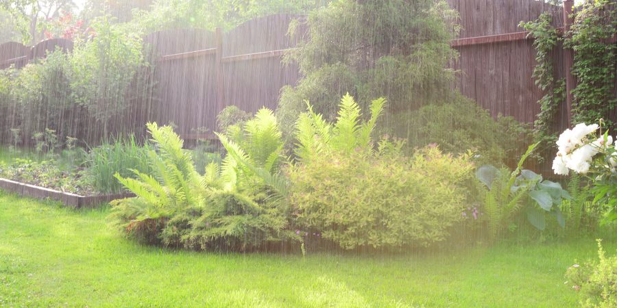 Wie groß sollte ein Regengarten sein? Wie geht das funktional? Wie richtet man es ein? 