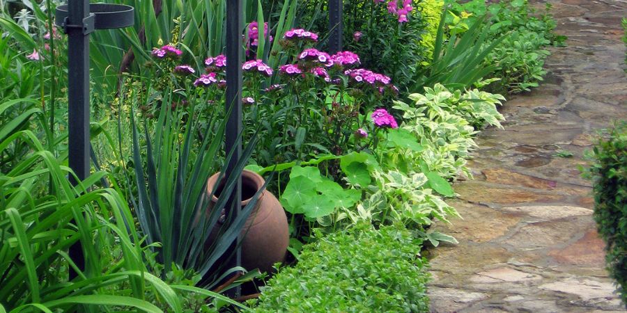 Wie füllt man einen Regengarten richtig? Was ist eine Regengarten-Erdemischung? 