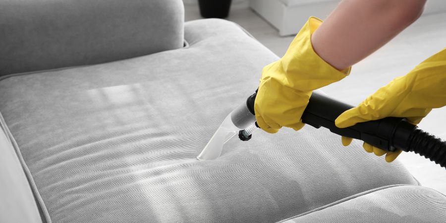 Effektive Schimmelentfernung vom Sofa – Welche Hausmittel gibt es, um Schimmel zu entfernen? 